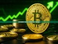 探索短期理财产品的奥秘-短期理财产品计入哪个科目